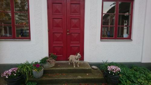 Bed & Breakfast Bo I Remmarl�v