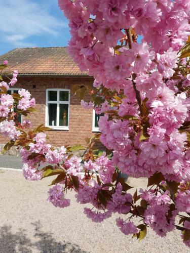 Agroturismo H�rlinge Guesthouse