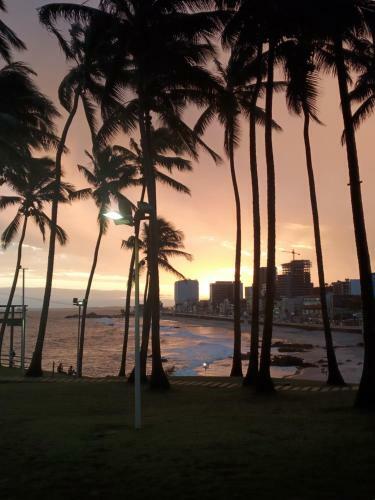 Barra Ocean View Shared Apartment