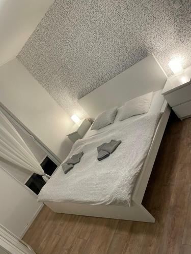 Apartm�n V Centre Michaloviec