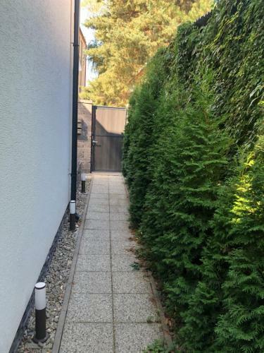 Apartm�n V Centre Michaloviec
