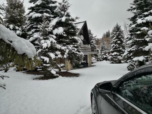 Lodge Chata Sofia N�mestovo