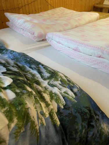 Apartamento Chata Veveri?ka Oravsk� Lesn�
