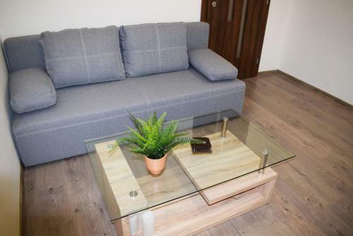Center City Apartment