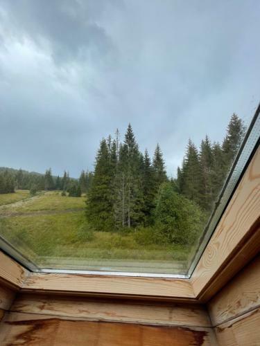 Apartm�n Na Hranici