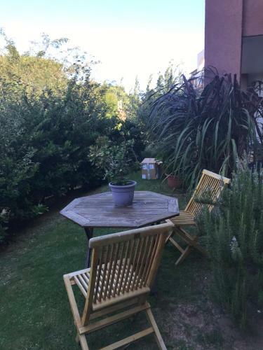 Apartamento Excelente Departamento En Plena Ciudad , Un Oasis