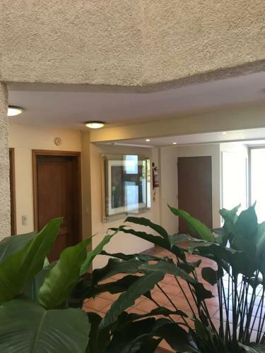 Apartamento Excelente Departamento En Plena Ciudad , Un Oasis
