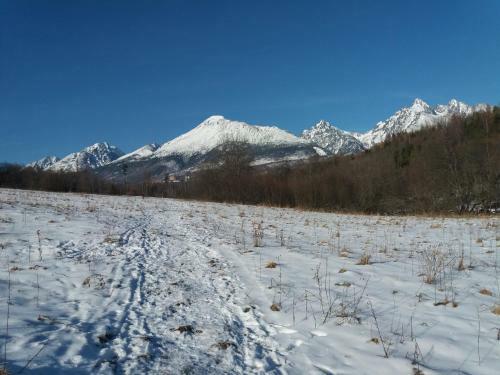 Hostal Privat Tatry Dreams