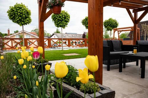 Hostal Chalet Nova Lesna Mountain View