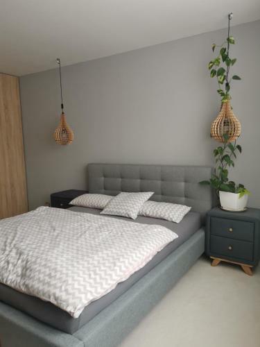 Apartamento Skvel�