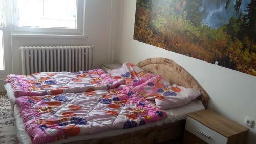 Apartm�n Tatry-nov� Lesn�