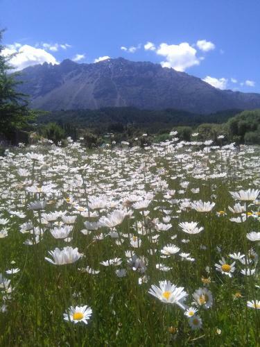 Lodge Caba�as Cuatro Estaciones