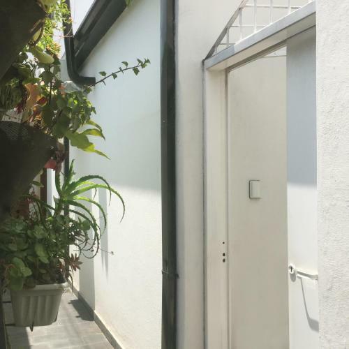 Apartamento Casa Con Dos Habitaciones Y Dos Patios