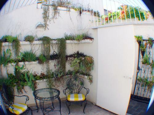 Apartamento Casa Con Dos Habitaciones Y Dos Patios