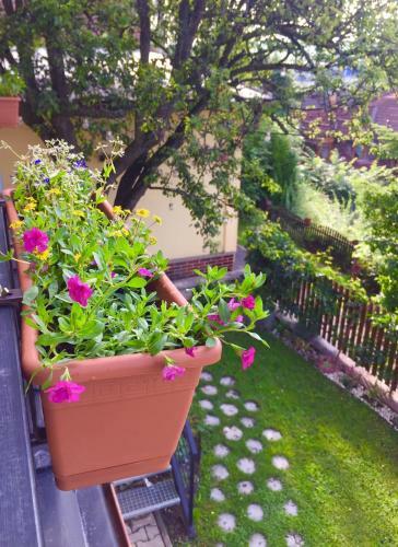 Apartment Nedela