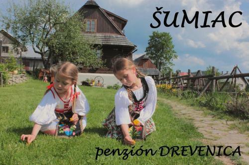 Agroturismo Penzion Drevenica