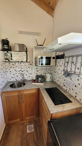 Otto's House, El Chalt�n Aparts