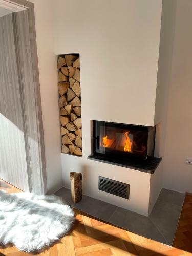 Gozdni Raj Rogla Apartma