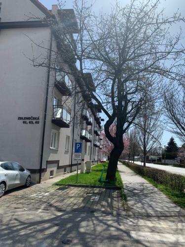 Apartmen Zelenecska