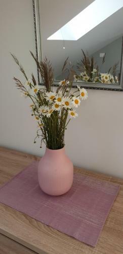 Apartma Pivka City Stars