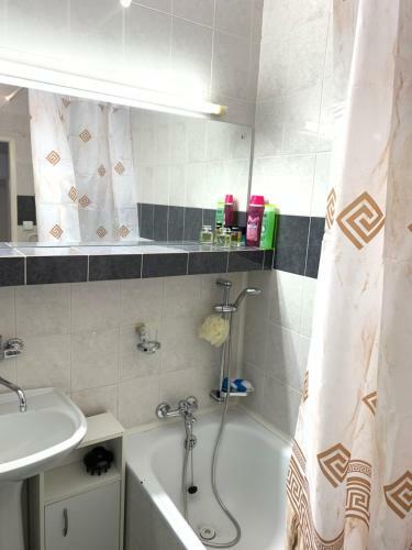 Apartment Botanika2