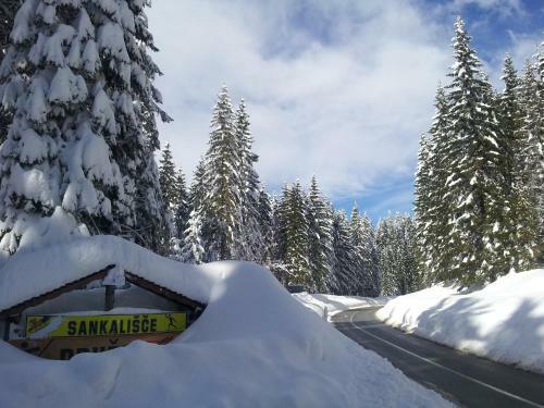 Hotel Jelka Pokljuka