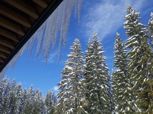 Hotel Jelka Pokljuka