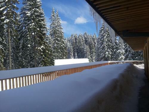 Hotel Jelka Pokljuka