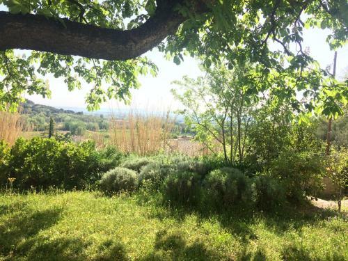 Domaine Fontaine