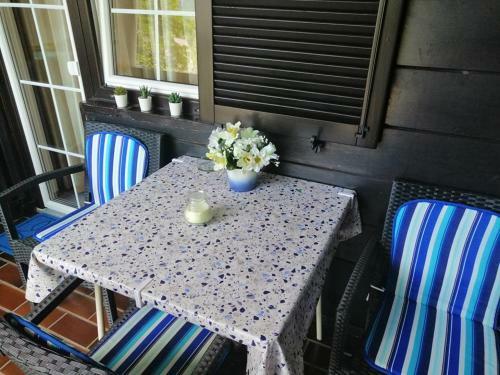 Apartma Pemaks, Terme Olimia