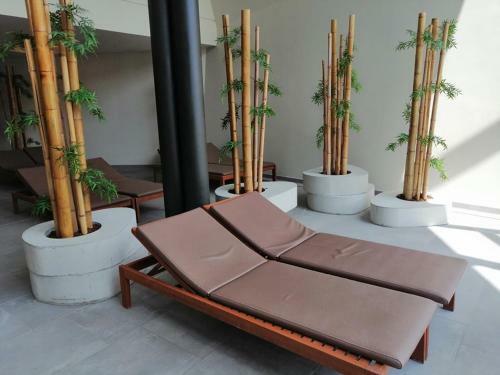 Apartma Pemaks, Terme Olimia