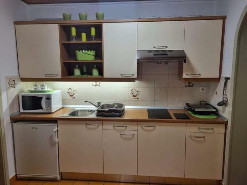 Apartma Pemaks, Terme Olimia