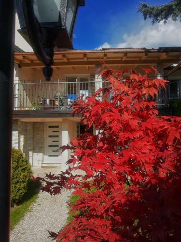 Apartamento Villa Bozovic