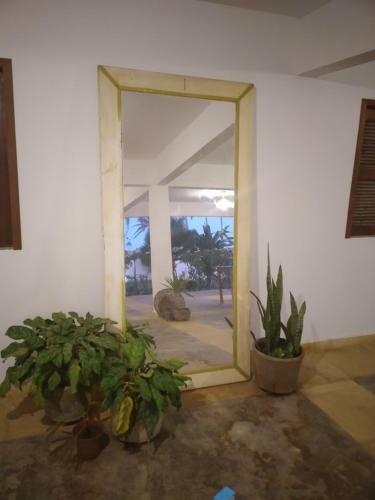 Hostal Vila Saguaro