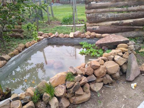 Hostal Hospedaria V� Schutz 2