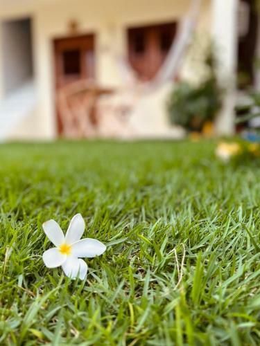 Hostal Su�te Das Flores Em Guajiru