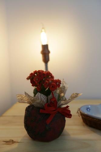 Apartamento Hospedagem Da Escultora