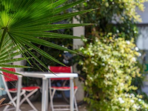 Apartamento Paradise Departamentos