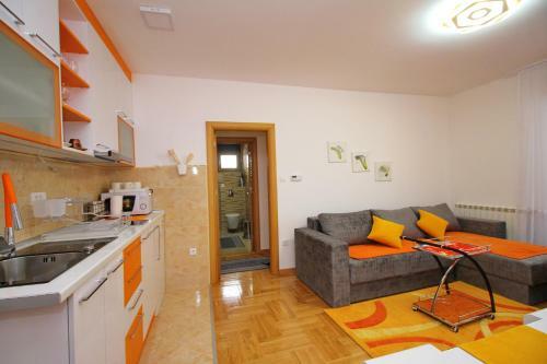 Apartment Jony Lux Center