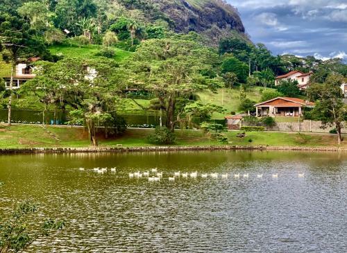 Carnaval Na Casa Maravilhosa Casa Inteira