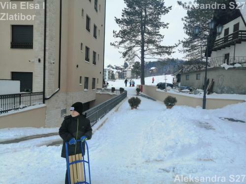 Apartman Aleksandra S27 - Vila Elsa I Zlatibor