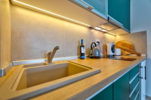 Apartman Aleksandra S27 - Vila Elsa I Zlatibor