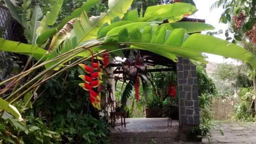 Apartamento Mattoso House