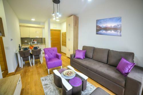 Vila Elsa Apartmani Kosta Todorovic