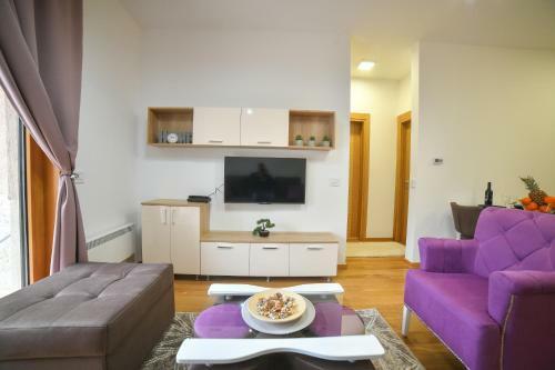 Vila Elsa Apartmani Kosta Todorovic