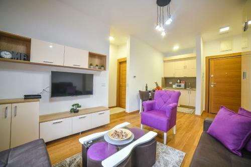 Vila Elsa Apartmani Kosta Todorovic