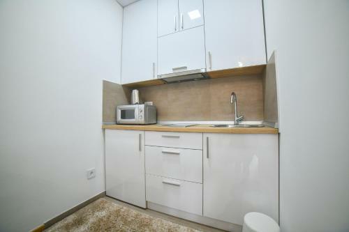Vila Elsa Apartmani Kosta Todorovic