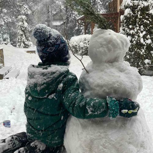 Apartman ?umski Vilenjak