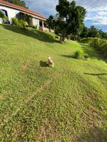 Apartamento Segredo Da Serra Guest House