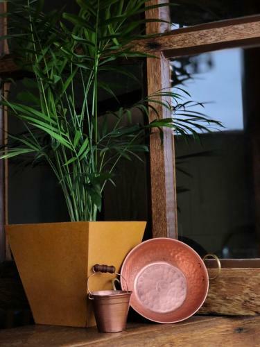 Bela Vista - Casa Inteira